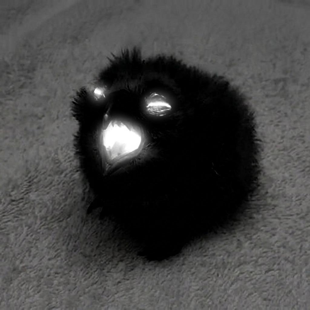 Black void art